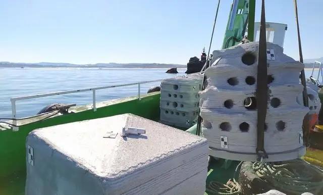 3D打印礁石 幫助恢復(fù)近海海底生態(tài)