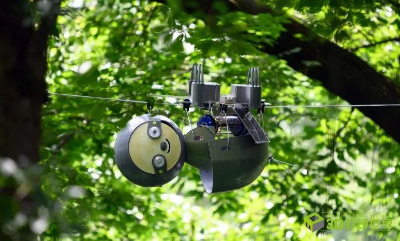 可愛的“樹懶”3D打印機器人，幫助監測環境