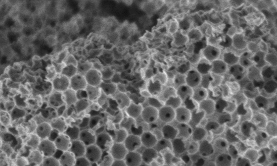 皇家墨爾本理工使用3D打印實現商業化的生態友好型生物燃料生產
