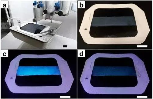 多倫多大學《材料化學》3D打印鐵螯合碳點傳感的抗菌水凝膠敷料