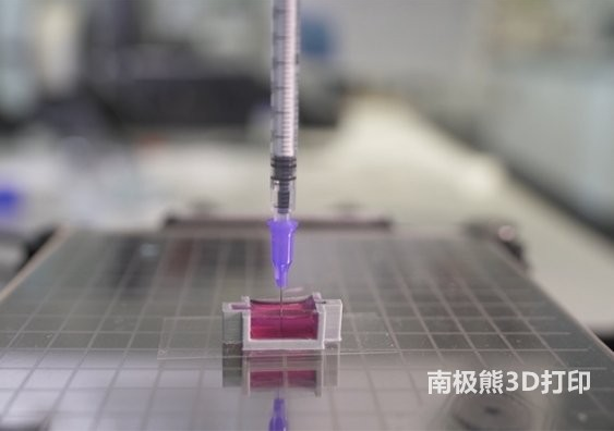 新南威爾士大學：使用新型陶瓷墨水3D打印帶有活細胞的骨骼