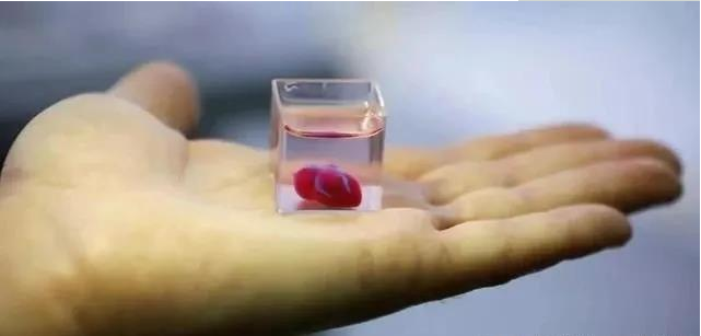 全球首顆3D打印心臟問世！“換心”不再遙遙無期