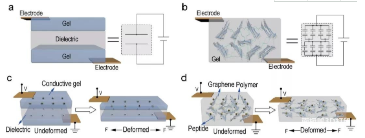 水凝膠“人造皮膚”：可拉伸77倍、可自愈、可3D打印、靈敏度超高