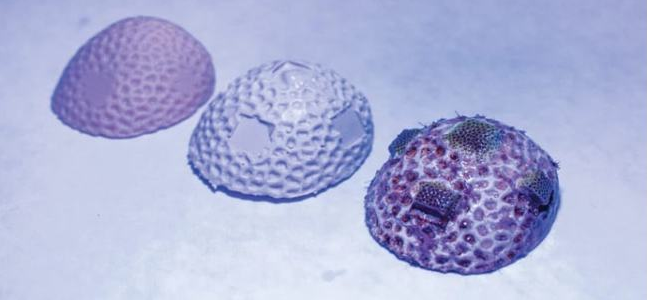 利用3D打印的碳酸鈣珊瑚骨架幫助恢復珊瑚礁