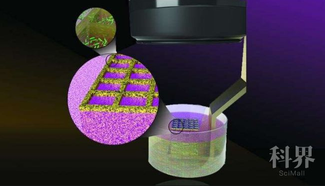 微生物3D打印材料可抗癌能隔離雙酚A