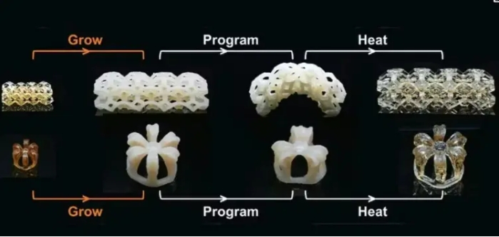 青島3D打印， 山東3D打印，北方3D打印，光固化，樹脂，3D打印